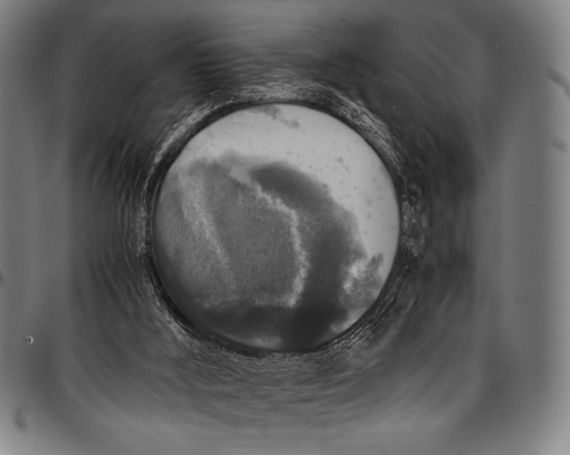 X0000097000012200802291158