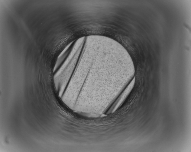 X0000097000017200802291158