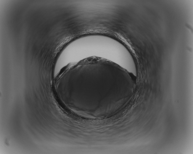 X0000097000019200802291158