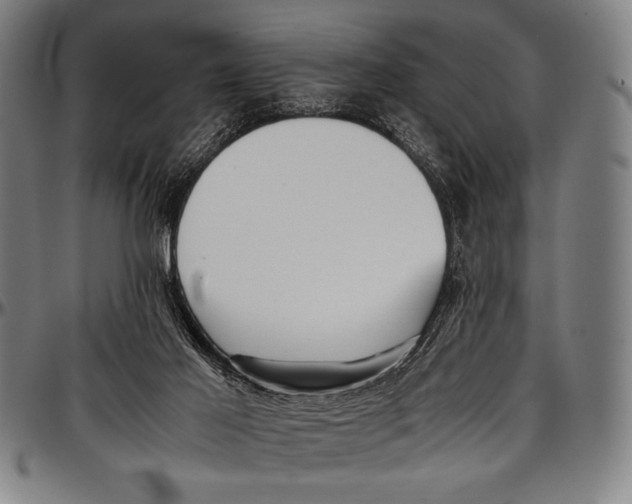 X0000097000021200802291158