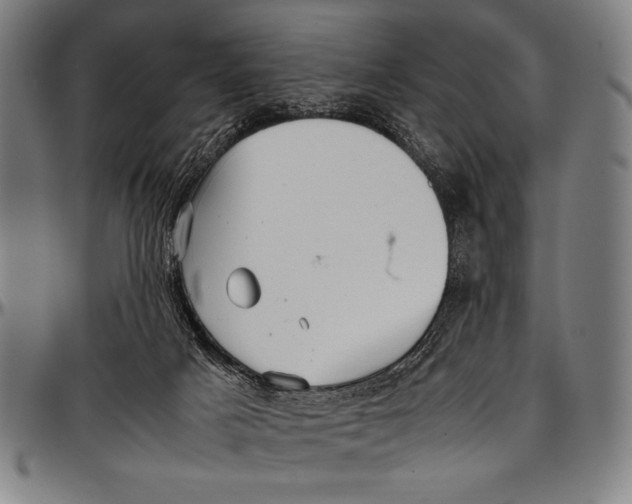 X0000097000025200802291158