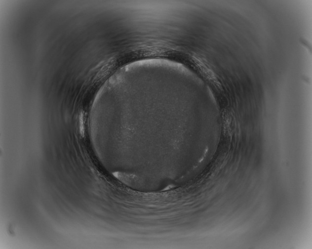 X0000097000026200802291158