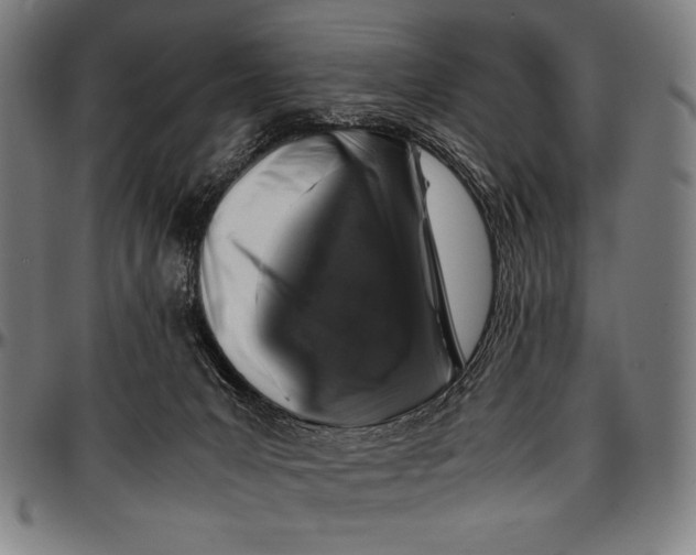 X0000097000031200802291158