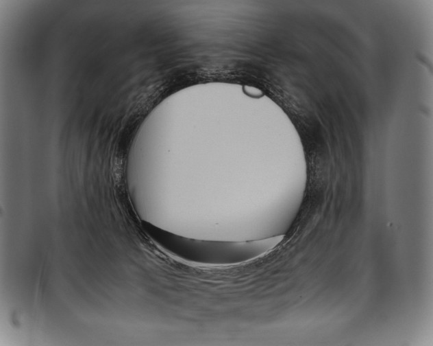 X0000097000033200802291158