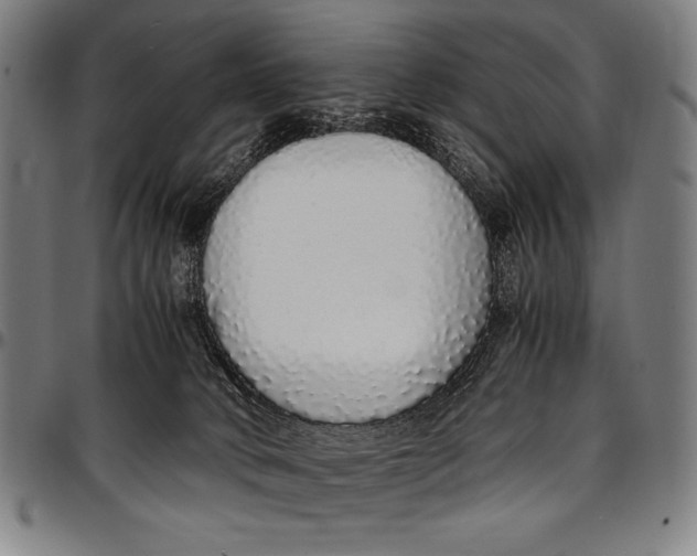 X0000097000034200802291158