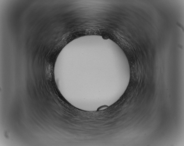 X0000097000038200802291157