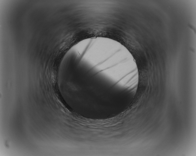 X0000097000039200802291157