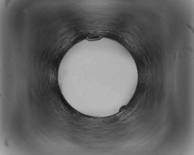 X0000097000040200802291157