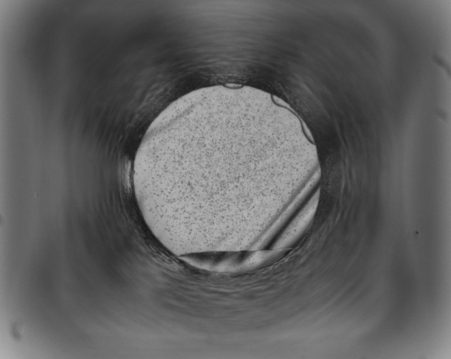 X0000097000041200802291157