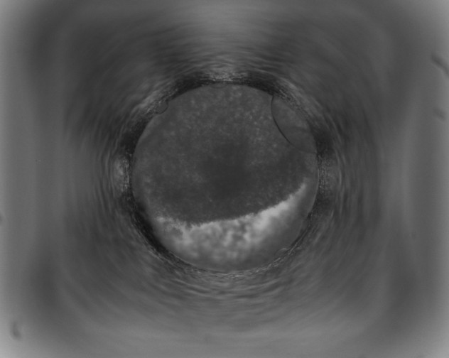 X0000097000043200802291157