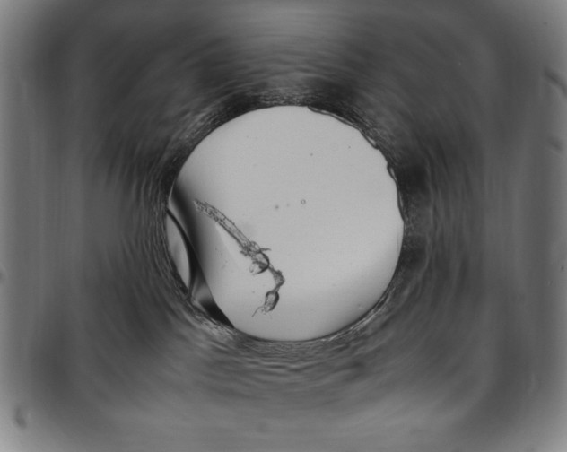 X0000097000045200802291157