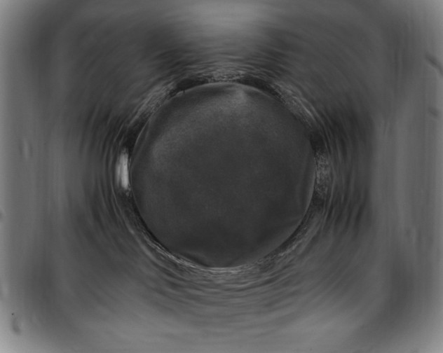 X0000097000046200802291157