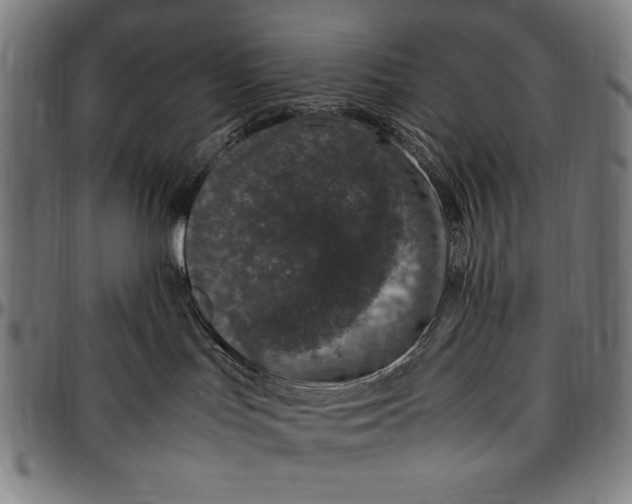 X0000097000047200802291157