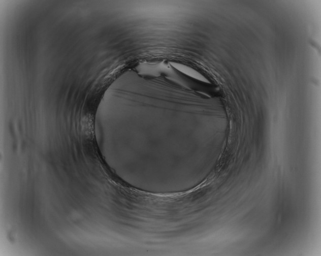 X0000097000048200802291157