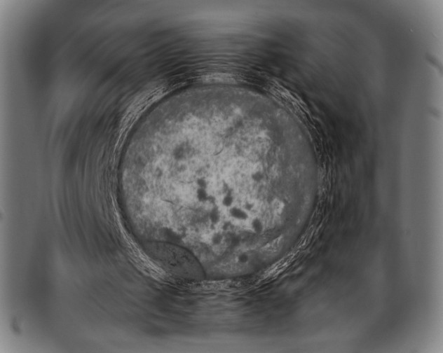 X0000097000049200802291157