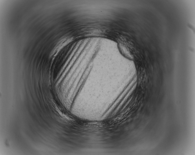 X0000097000050200802291157