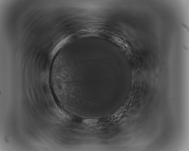 X0000097000051200802291157