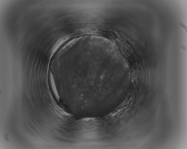 X0000097000052200802291157