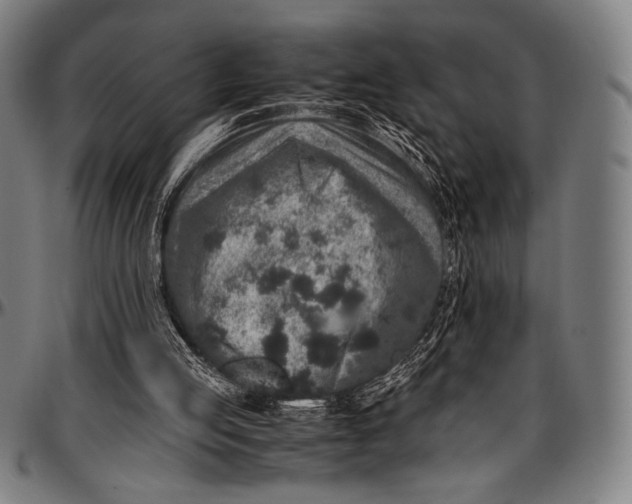 X0000097000053200802291157