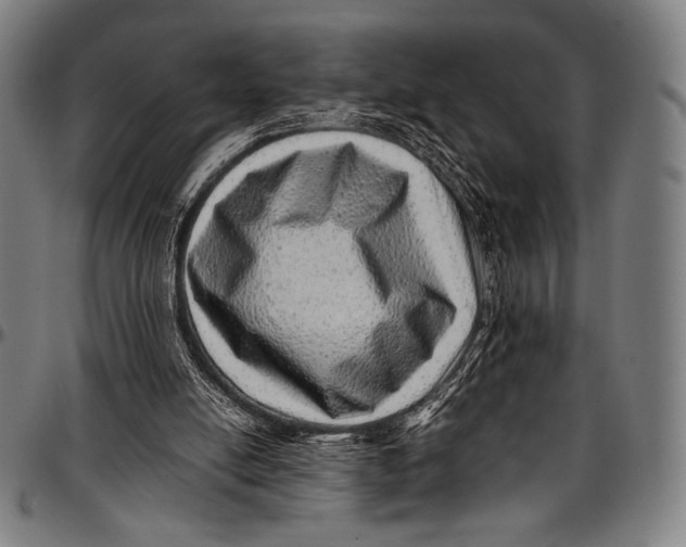 X0000097000054200802291157