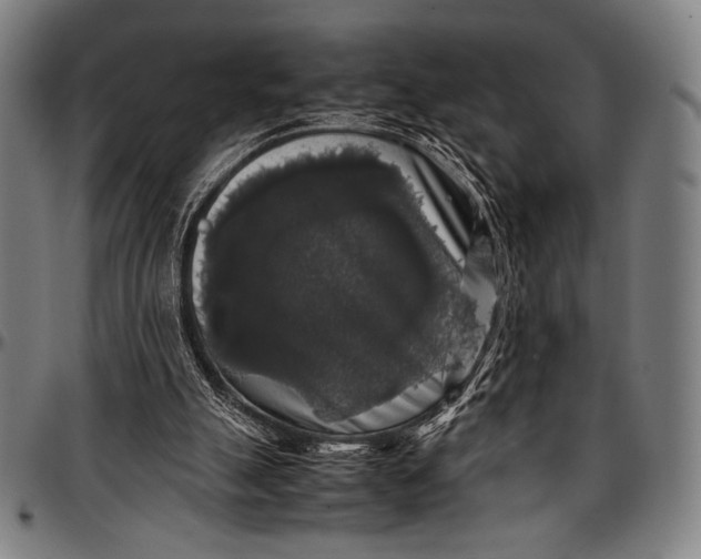 X0000097000055200802291157