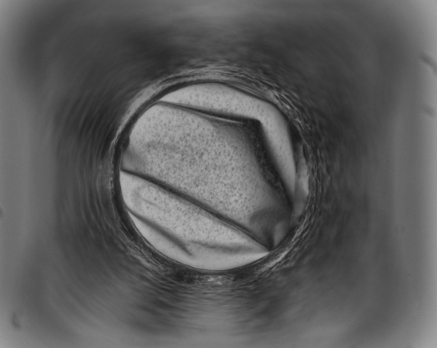 X0000097000056200802291157