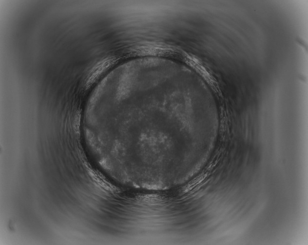 X0000097000058200802291157