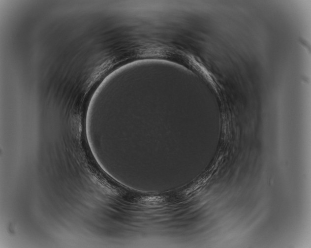 X0000097000059200802291157