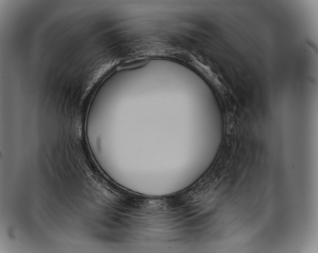 X0000097000060200802291157