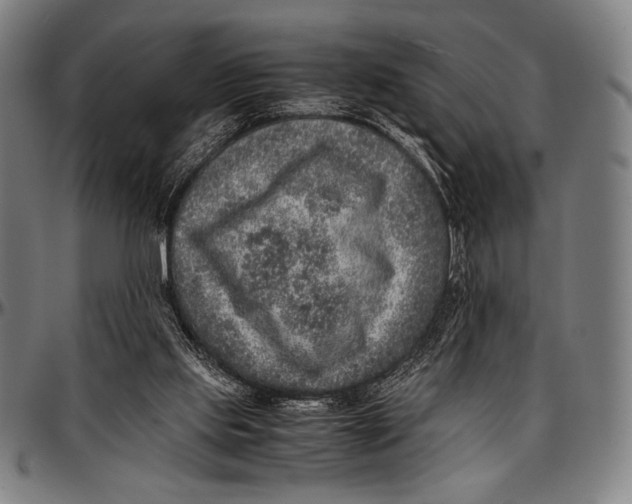 X0000097000061200802291157