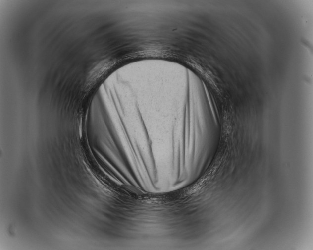 X0000097000062200802291157