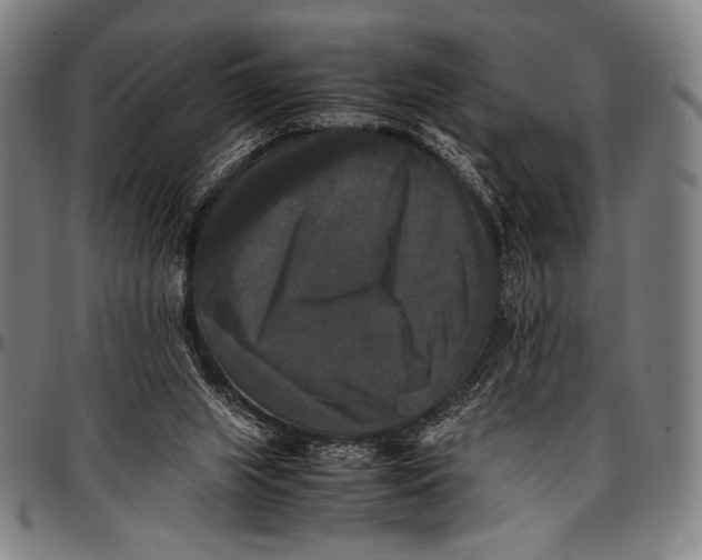 X0000097000063200802291157