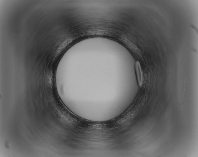 X0000097000064200802291157