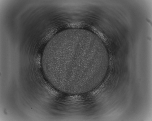 X0000097000065200802291157