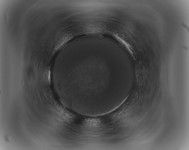 X0000097000067200802291157