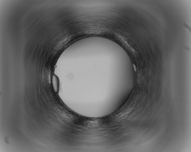 X0000097000068200802291157