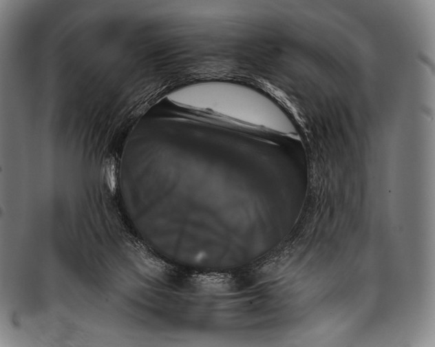 X0000097000069200802291157