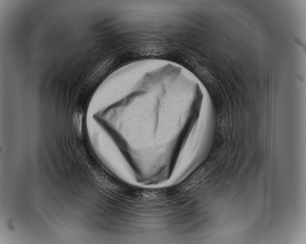 X0000097000070200802291157