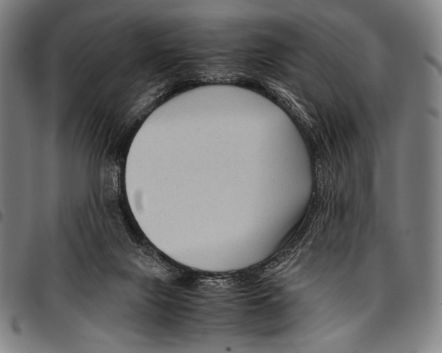 X0000097000071200802291157