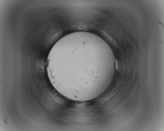 X0000097000072200802291157