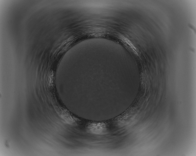 X0000097000073200802291157