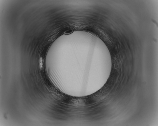 X0000097000075200802291157