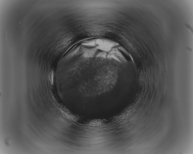 X0000097000076200802291157