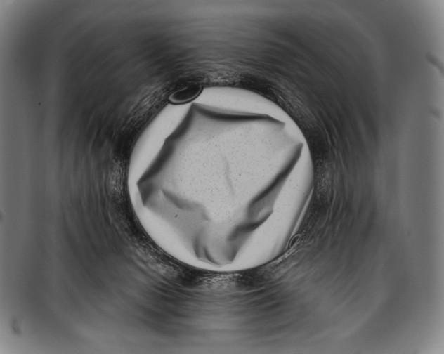 X0000097000078200802291157