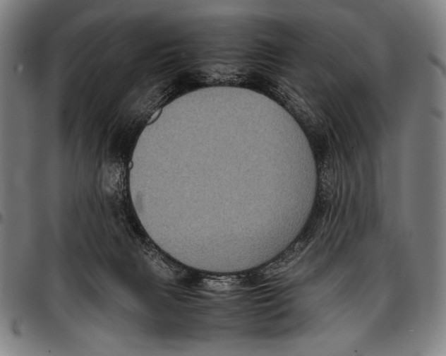 X0000097000079200802291157