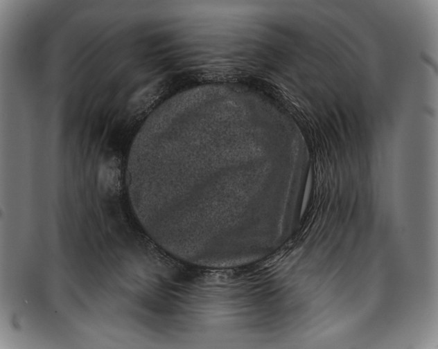 X0000097000080200802291157