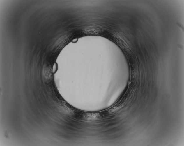 X0000097000081200802291157