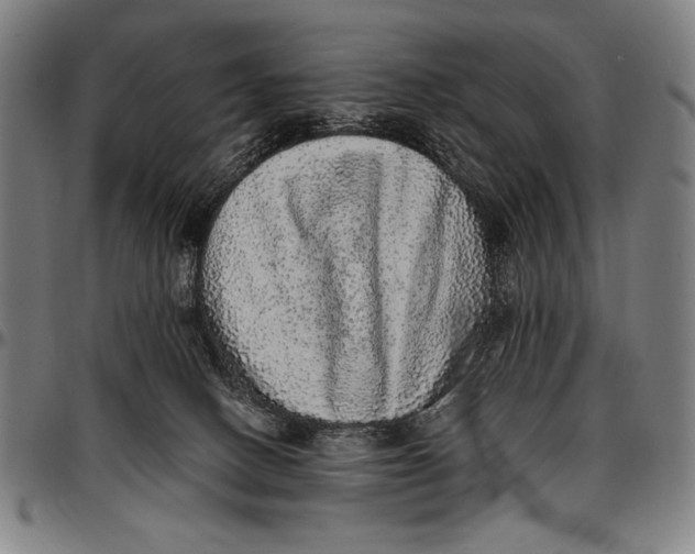 X0000097000082200802291157