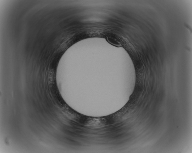 X0000097000083200802291157