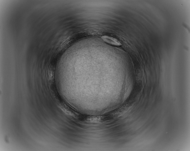 X0000097000084200802291157